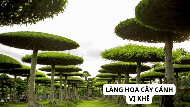 các điểm du lịch nam định 5