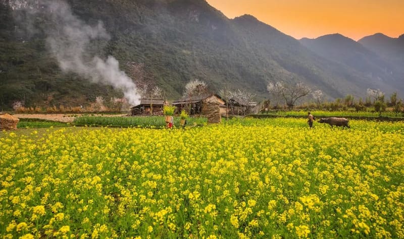 kinh nghiệm du lịch hà giang 2